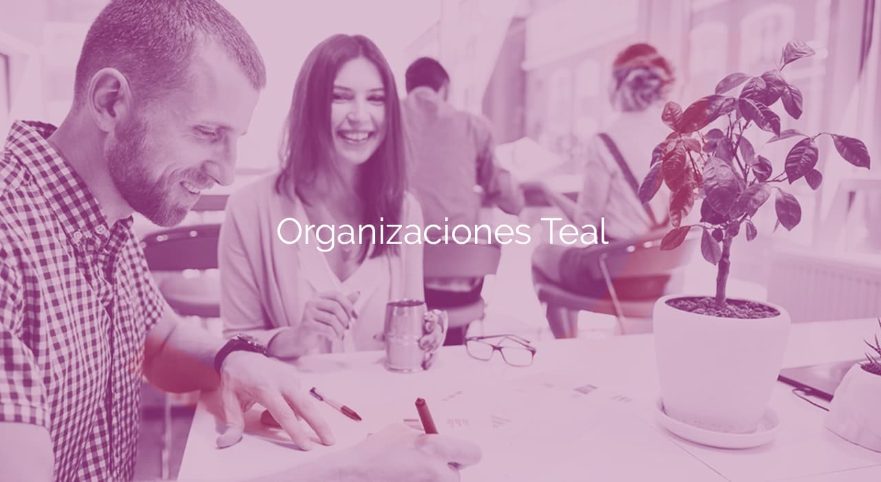 Organizaciones Teal
