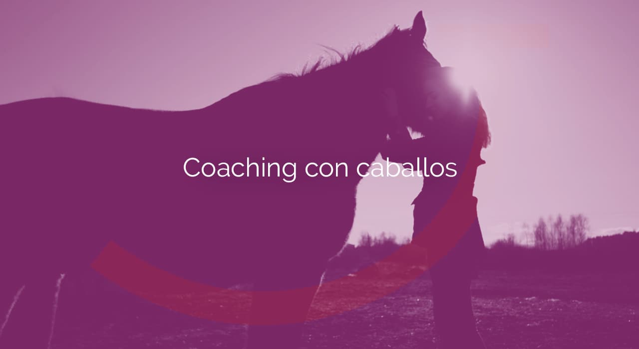 Coaching con caballos 2 coaching con caballos