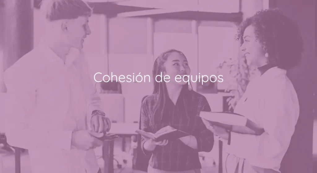 Inicio 2 cohesion de equipos