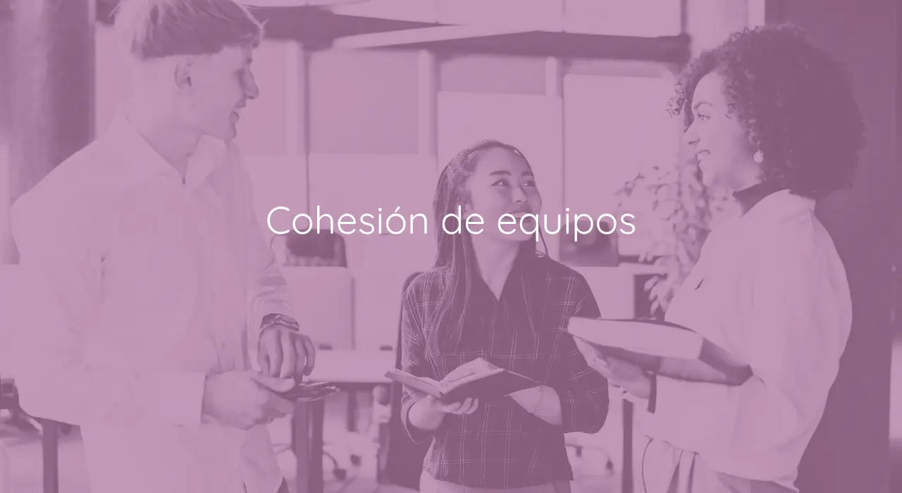 cohesion de equipos